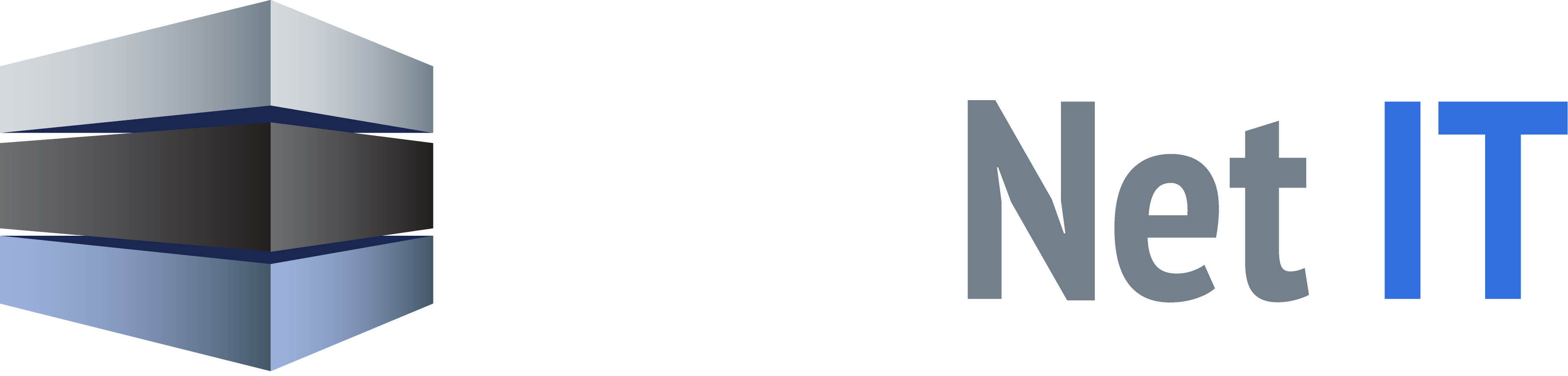 DataNet IT Logo